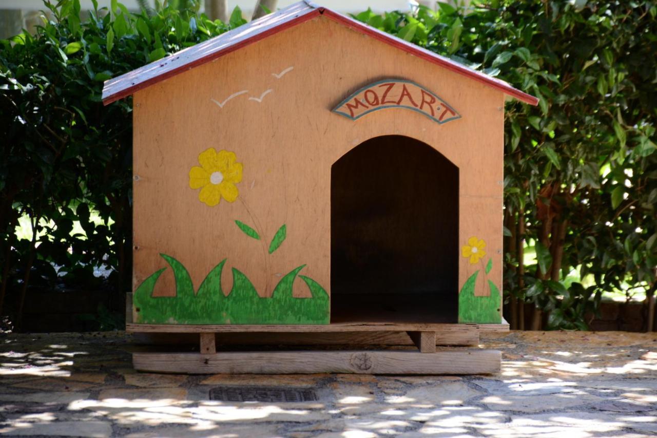 Mozart House Studio Amarynthos Exterior foto