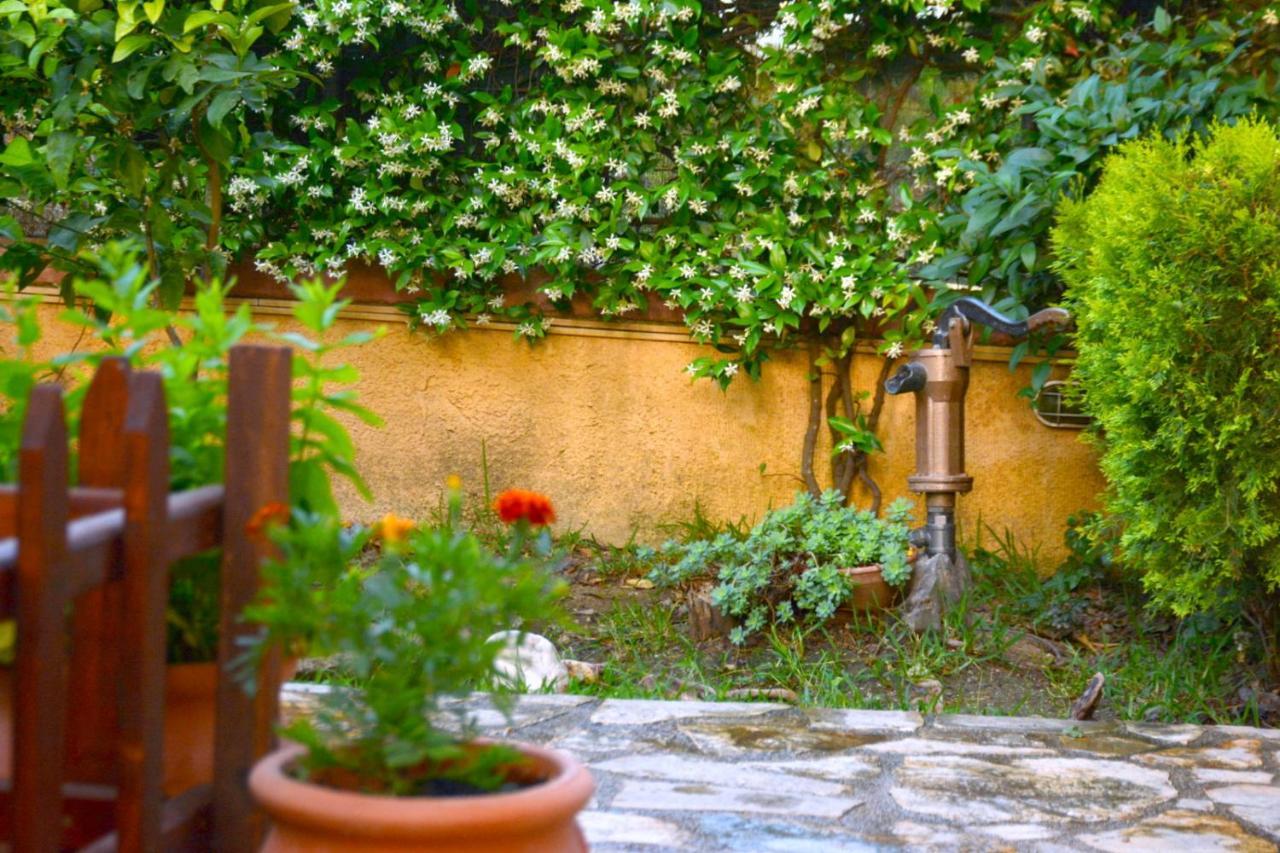 Mozart House Studio Amarynthos Exterior foto