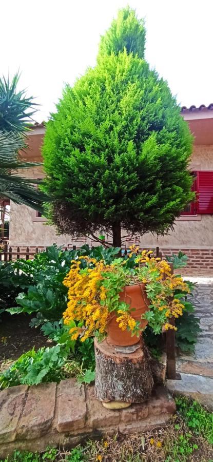 Mozart House Studio Amarynthos Exterior foto