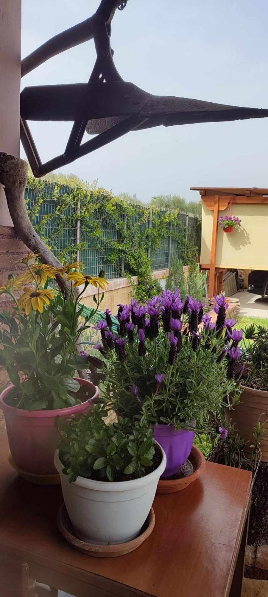 Mozart House Studio Amarynthos Exterior foto